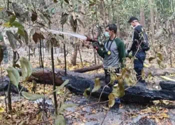 Petugas BPBDPK Kabupaten Pandeglang dan gabungan tim lainnya, memadamkan api yang membakar hutan di Pulau Deli, Kabupaten Pandeglang. (ISTIMEWA')