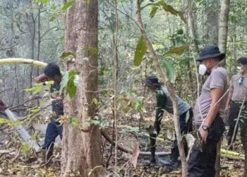Petugas BPBDPK Kabupaten Pandeglang dan tim gabungan, masih berjibaku memadamkan api di Pulau Deli. (ISTIMEWA)