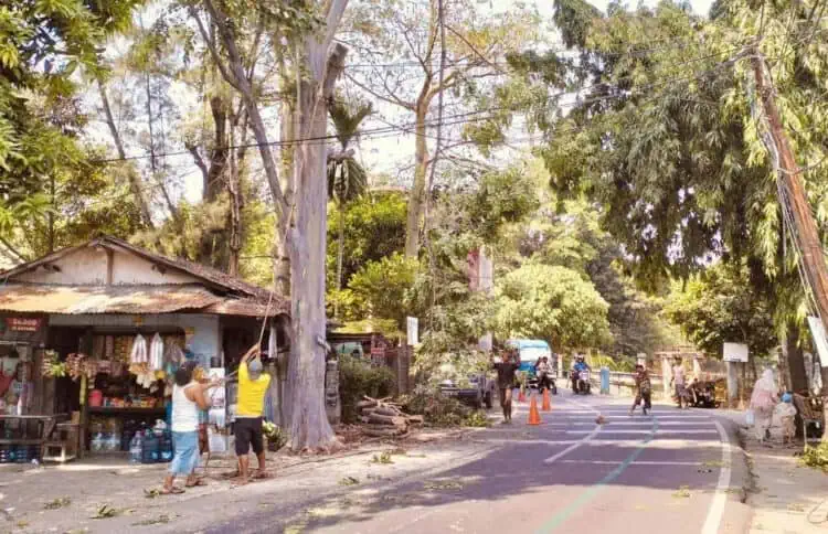 Disbudpar Kota Tangerang Siapkan Empat Tim untuk Penebangan dan Pemeliharaan