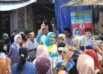 Airin-Ade Siap Tumbuhkan Ekonomi Hijau di Banten, Gagas Program Berdikari hingga Gemilang