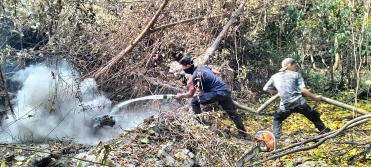 Petugas BPBDPK Kabupaten Pandeglang, sedang memadamkan api di Pulau Deli. (ISTIMEWA)