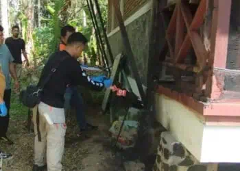 Gawat, Ada Teror di TNUK Pandeglang, Rumah Dinas Kasi PTN Diduga Dibakar OTK