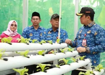 Kunjungi Kelompok Wanita Tani Cisauk, Pj Bupati Tangerang Dorong IRT Manfaatkan Pekarangan Rumah