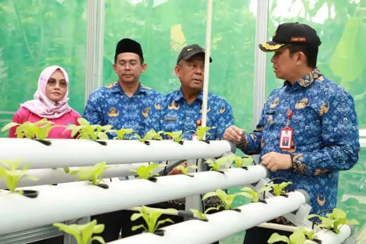 Kunjungi Kelompok Wanita Tani Cisauk, Pj Bupati Tangerang Dorong IRT Manfaatkan Pekarangan Rumah