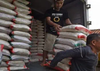 Stok Beras Hingga Desember di Lebak Masih Aman