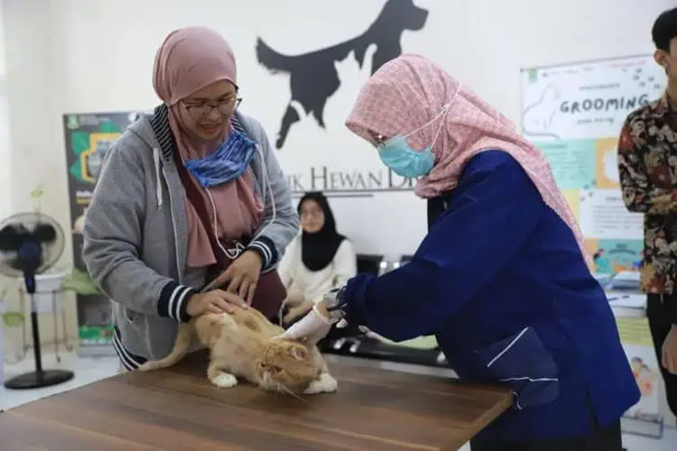 Dinas Ketahanan Pangan Ajak Masyarakat Manfaatkan Puskeswan Kota Tangerang