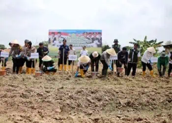 Pemkot Tangerang Bersama Polres Metro Tangerang Kota Tanam Bibit Jagung