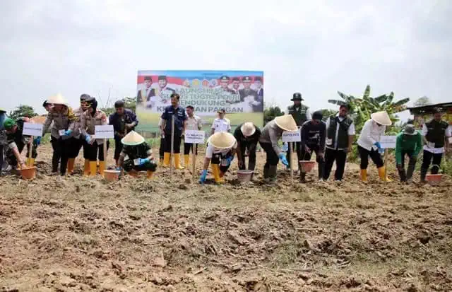 Pemkot Tangerang Bersama Polres Metro Tangerang Kota Tanam Bibit Jagung