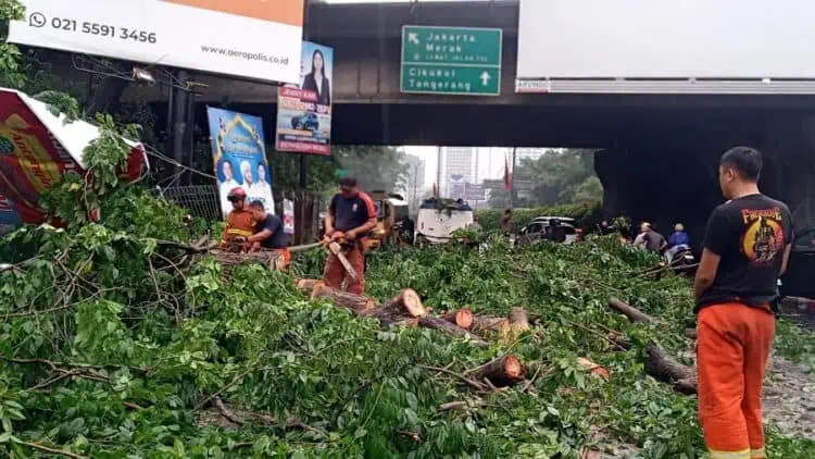 Pemilik Kendaraan yang Jadi Korban Pohon Tumbang di Kota Tangerang Ditanggung Asuransi
