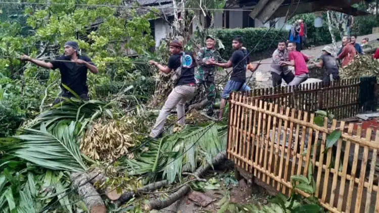 Tiga Rumah di Pandeglang Rusak, 2 Tertimpa Pohon dan 1 Tersambar Petir