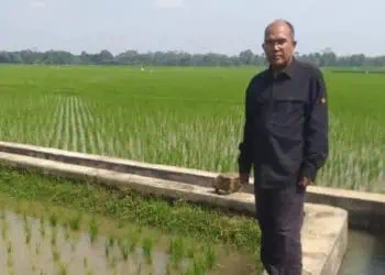 Mudahkan Petani, Pemkab Pandeglang Tambah Kuota Pupuk Bersubsidi