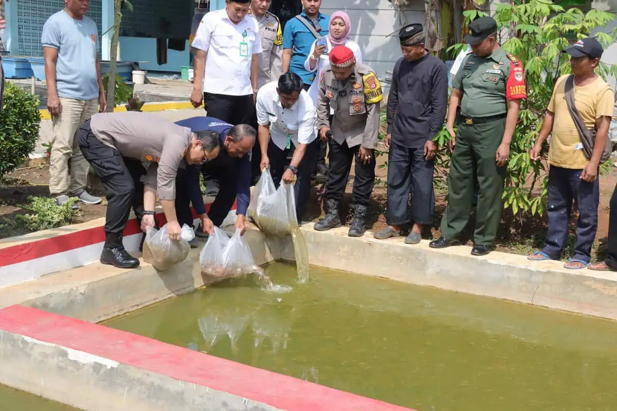Kapolresta Tangerang Tanam Bibit Jagung dan Tebar Benih Ikan, Dukung Ketahanan Pangan dan Program Poliran Kapolresta Tangerang Tanam Bibit Jagung dan Tebar Benih Ikan, Dukung Ketahanan Pangan dan Program Poliran