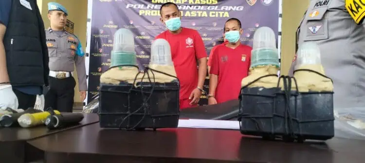 Jual Baby Lobster, 3 Pelaku Mendekam di Jeruji Besi Mapolres Pandeglang