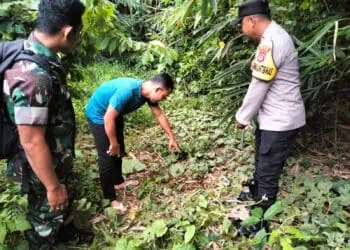 Tega, Bayi Diduga Hasil Hubungan Terlarang Dibuang di Kebun Bambu