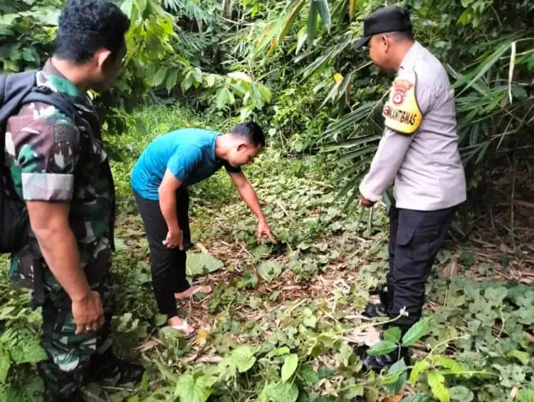 Tega, Bayi Diduga Hasil Hubungan Terlarang Dibuang di Kebun Bambu