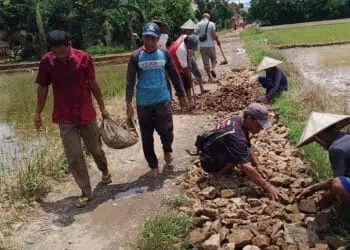 Warga Patia Pandeglang Swadaya Perbaiki Jalan Poros Desa
