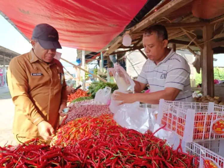 Pasokan Melimpah, Harga Cabai di Kabupaten Serang Anjlok Hingga Rp20 Ribu per Kilogram