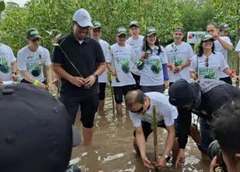 Gandeng SeaSoldier, CGS Internasional Sekuritas Indonesia Gelar Mangrove Project