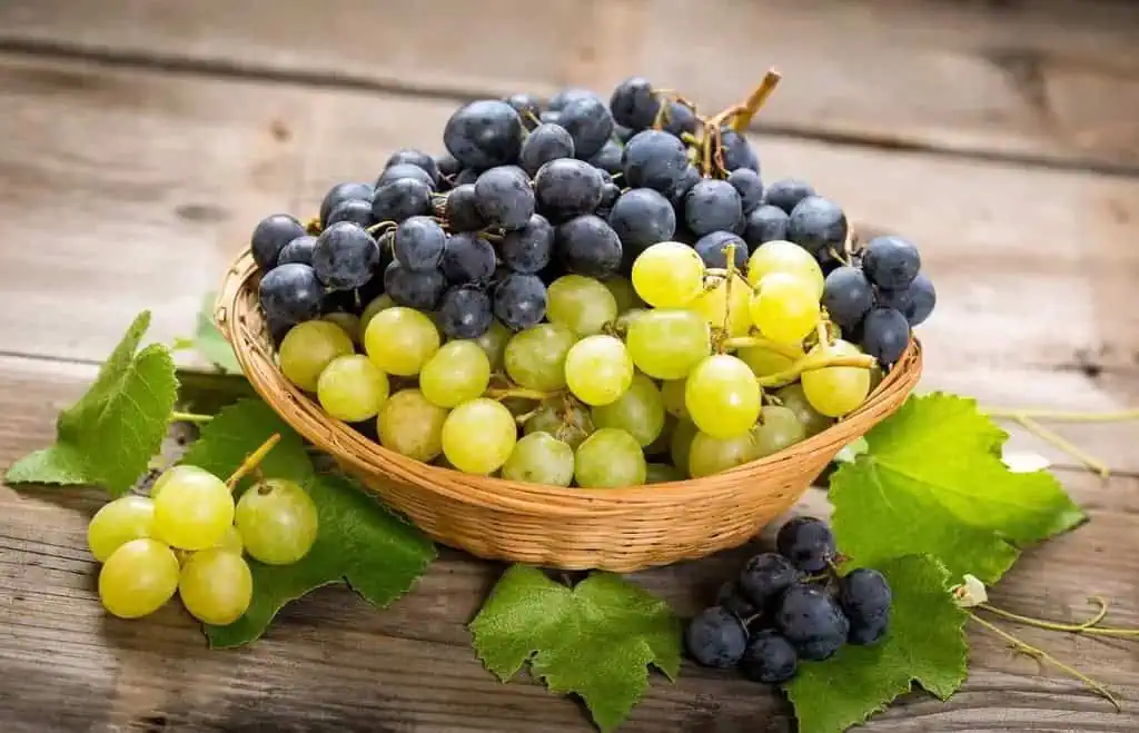 Miliki Rasa yang Enak, 4 Buah yang Sebaiknya Tak Dikonsumsi Tiap Hari Miliki Rasa yang Enak, 4 Buah yang Sebaiknya Tak Dikonsumsi Tiap Hari