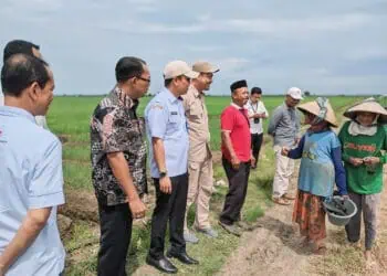 Tekan Inflasi Bawang Merah, Pemkab Tangerang dan Cirebon Kerja Sama