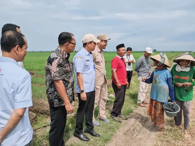 Tekan Inflasi Bawang Merah, Pemkab Tangerang dan Cirebon Kerja Sama