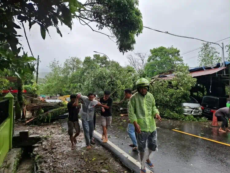 Pengendara Motor di Pandeglang Tertimpa Pohon, Lalu Lintas Sempat Terganggu