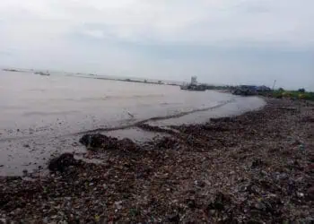 Terkait Bangunan Liar di Pantai Teluk, DPKPP Pandeglang Tidak Bisa Berbuat Banyak