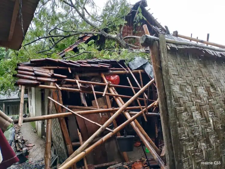 Rumah Warga Miskin di Cikeusik Pandeglang Hancur Tertimpa Pohon