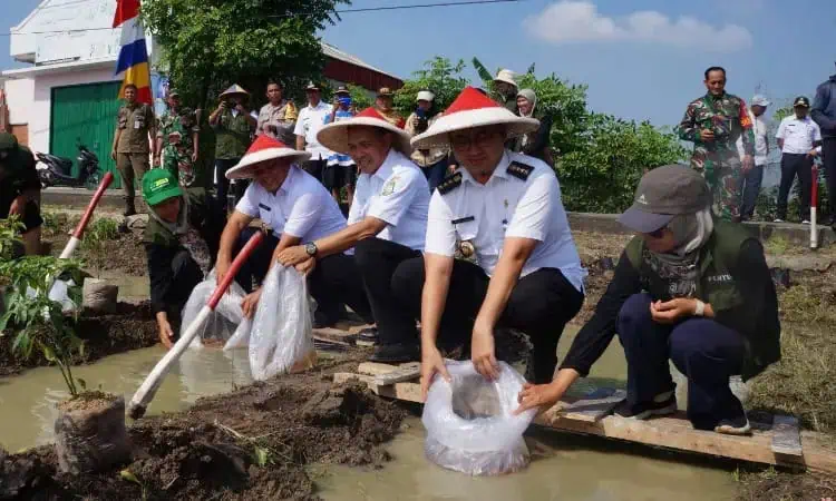 165.500 Ekor Bantuan Bibit Ikan Disalurkan Pemkot Tangerang