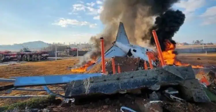 Tak Ada WNI Jadi Korban Tragedi Terbakarnya Pesawat Jeju Air