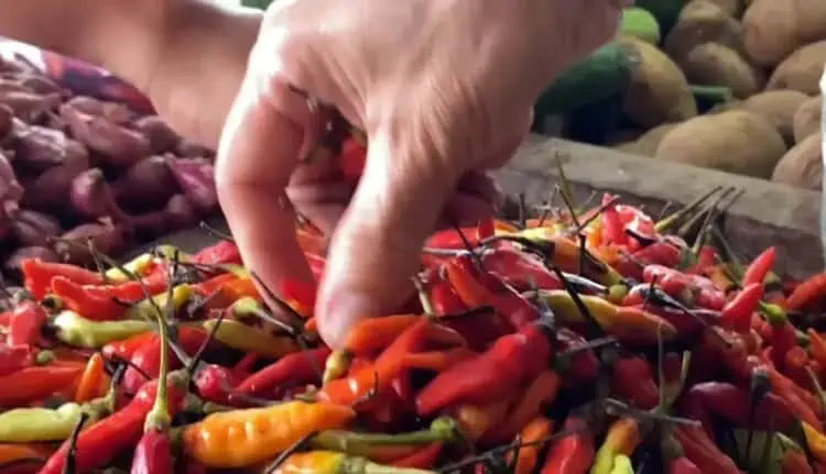 Harga Cabai Oranye Tembus Rp 120 Ribu/kg, Pedagang di Pasar Rangkasbitung Turun Omzet 50 Persen