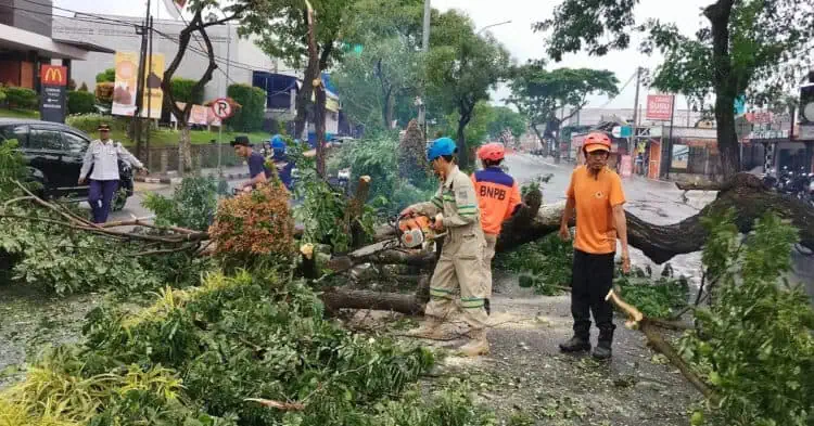 Pohon Tumbang, Jalan Raya Ciater Serpong Sempat Ditutup