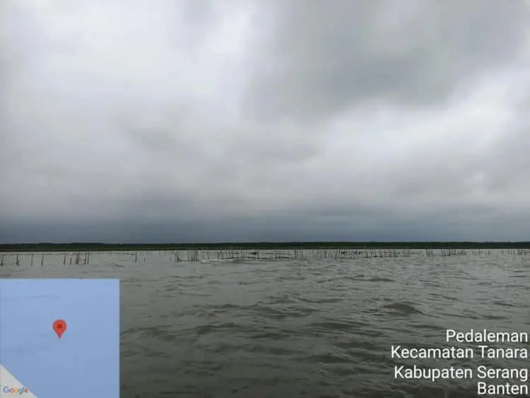 Setelah sebelumnya ramai pagar laut di wilayah Tangerang, kini pagar laut muncul di wilayah Desa Pedaleman, Kecamatan Tanara, Kabupaten Serang. Keberadaan pagar laut sepanjang 4 kilometer tersebut, juga dinilai mengganggu. (ISTIMEWA)