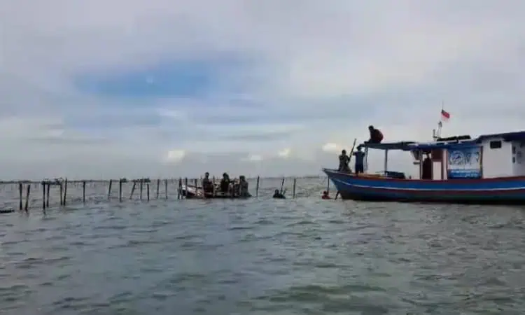 TNI AL Sebut Pembongkaran Pagar Laut Merupakan Perintah Presiden