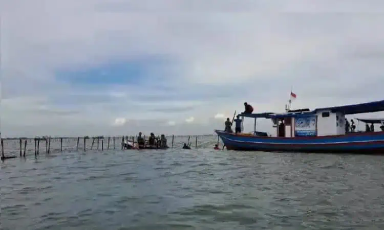 18,7 km Pagar Laut Sudah Dibongkar, Gelombang Tinggi Jadi Kendala