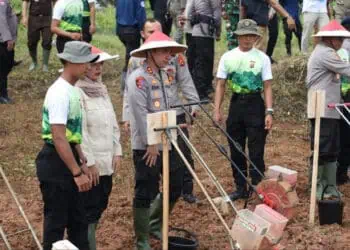Dukung Swasembada Pangan, Polres Lebak Tanam Jagung