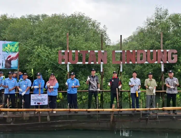 Peringati Anniversary ke 50 Tahun, PT Yuasa Battery Indonesia Tanam 500 Pohon Mangrove