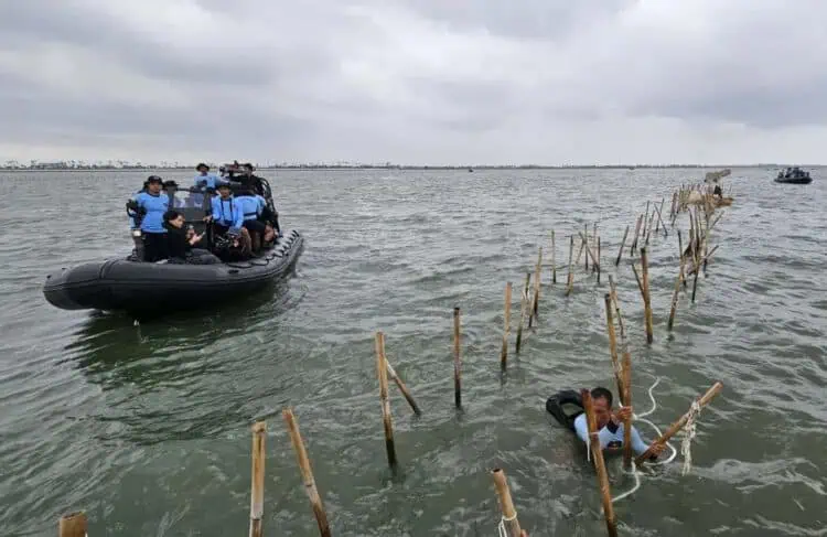 Hingga Hari Kelima, 50 Persen Pagar Laut di Tangerang Berhasil Dibongkar