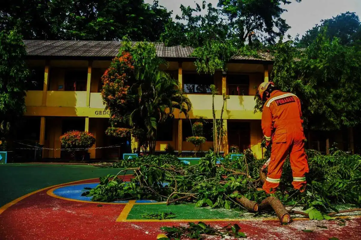 Pohon Besar Timpa Gedung SMPN 1 Kota Tangerang Saat Tengah KBM, Begini Kondisinya