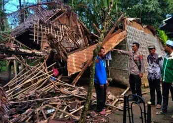 Rumah warga di Kecamatan Panimbang, Kabupaten Pandeglang, hancur tertimpa pohon Kelapa yang tumbang. (ISTIMEWA)