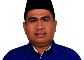 Ketua DPD PAN Kabupaten Serang, Jaenudin. (ISTIMEWA)