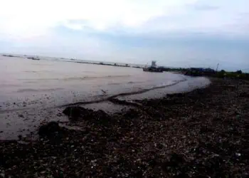 Pesisir Teluk, Kecamatan Labuan, Kabupaten Pandeglang, kembali kumuh dan dipenuhi sampah. (DOKUMEN/SATELITNEWS.COM)