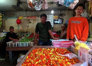 Kenaikan Harga Cabai Rawit di Tangsel Masih Wajar