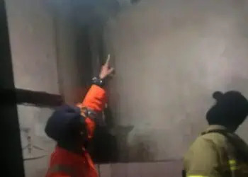 Ular Sanca Menyelinap ke Plafon Rumah Warga di Larangan