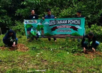 Cegah Longsor, Gunung Luhur di Lebak Ditanami Ribuan Pohon Keras