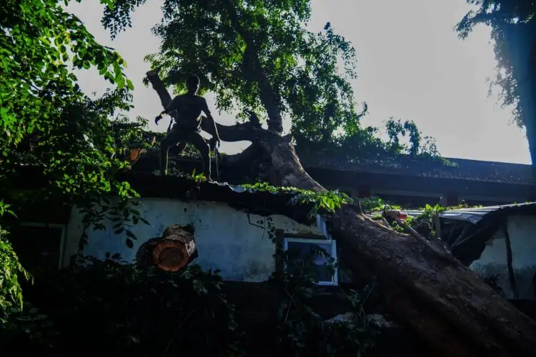 Pohon Besar Timpa Gedung SMPN 1 Kota Tangerang Saat Tengah KBM, Begini Kondisinya
