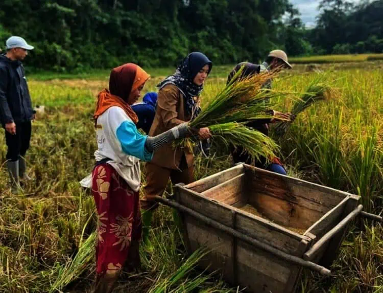 Meski Ringankan Petani, Anggota DPRD Lebak Justru Singgung Turunnya PAD Akibat Pembebasan Pajak Sawah