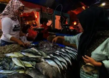 Harga Ikan di Pasar Rangkasbitung Mulai Mengalami Kenaikan