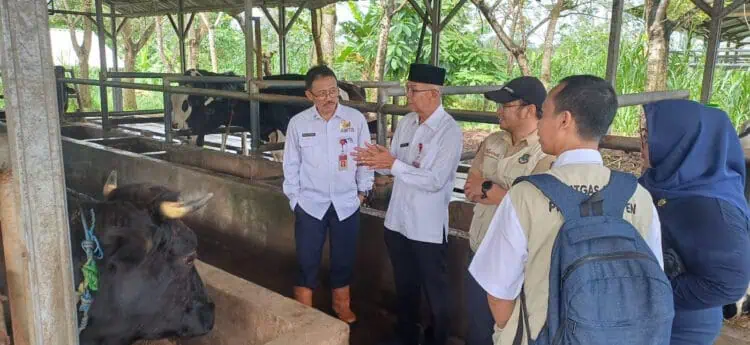 Hewan Ternak di Banten Diklaim Aman Dari PMK dan Antraks