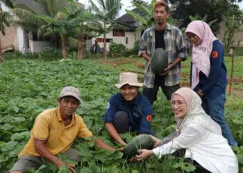 Ketua TP PKK Lebak Dukung Program Urban Farming